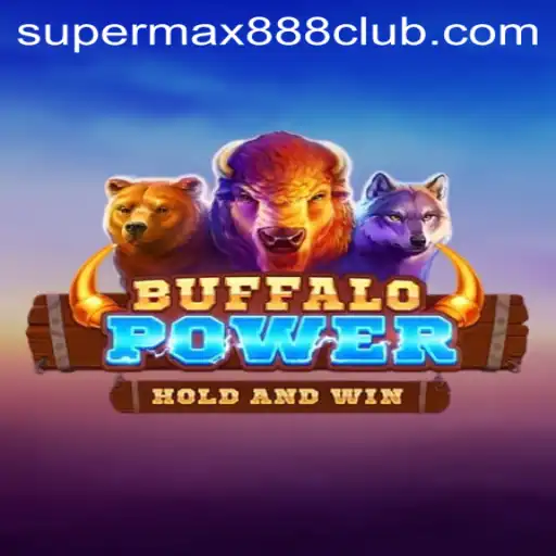 An In-depth Look at BuffaloPower and SuperMax888